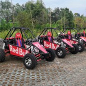 俱樂部 競技UTV越野卡丁車 雙人山地越野沙灘車