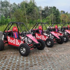 俱樂(lè)部 競(jìng)技UTV越野卡丁車 雙人山地越野沙灘車