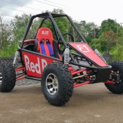 大型越野車 山地爬坡卡丁車 200cc宇鵬智能機器人