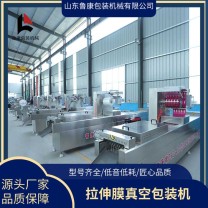 連續(xù)式拉神膜真空包裝機(jī) 蝦丸真空包裝設(shè)備 可按需定制