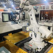 差速器殼體自動(dòng)加工打標(biāo)單元 機(jī)器人 工業(yè)機(jī)器人