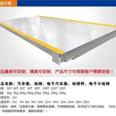 數(shù)字1-200噸汽車(chē)衡 地磅 數(shù)字衡器第3張