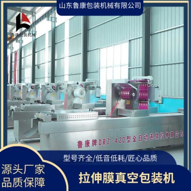 臘腸臘肉拉伸膜真空包裝機(jī) DRZ-420真空包裝設(shè)備 操作簡單第4張